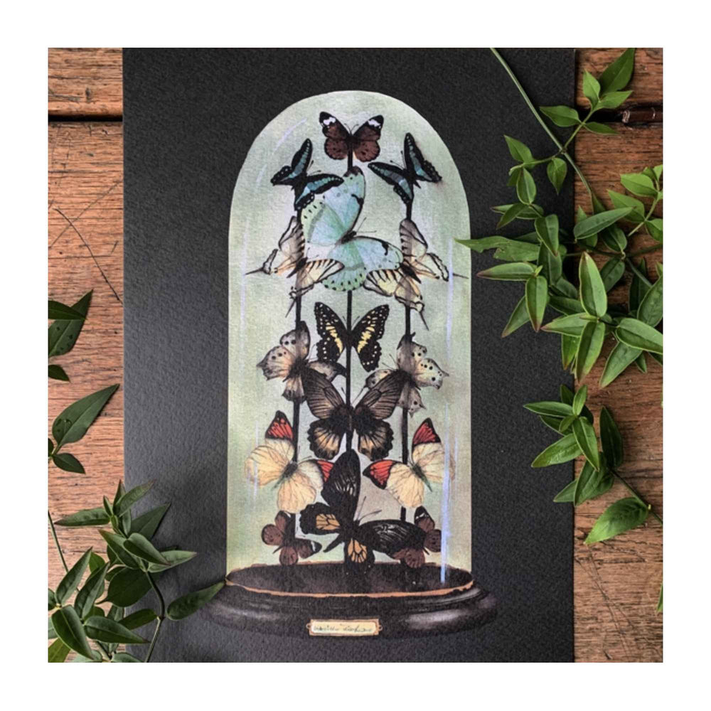 
                  
                    Antique Butterfly Dome Print
                  
                