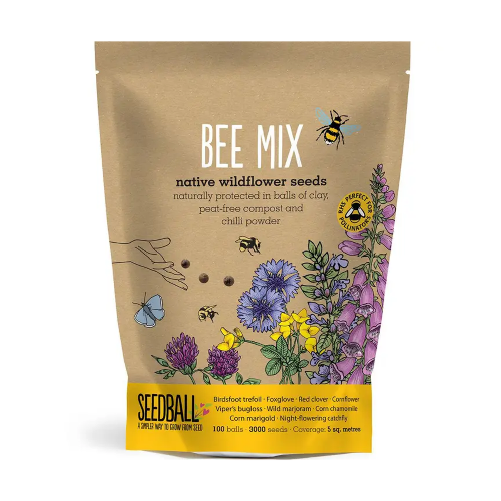 
                  
                    Bee Mix Seedball Grab Bag
                  
                