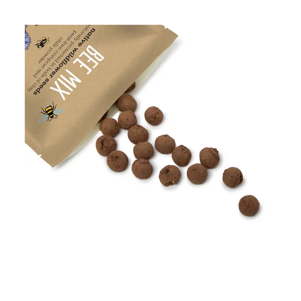 
                  
                    Bee Mix Seedball Grab Bag
                  
                