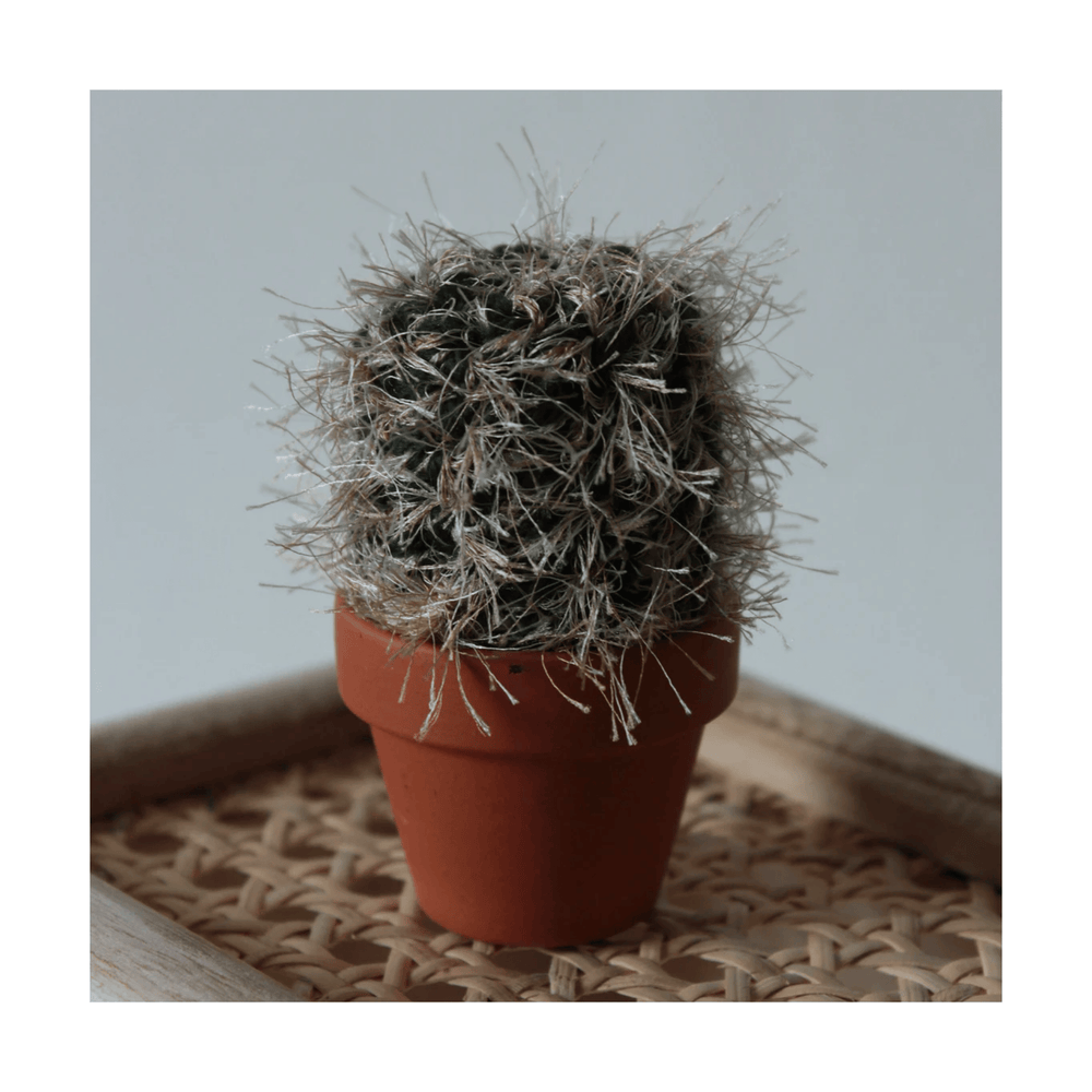 
                  
                    Set of 3 Boxed Crocheted Cacti
                  
                