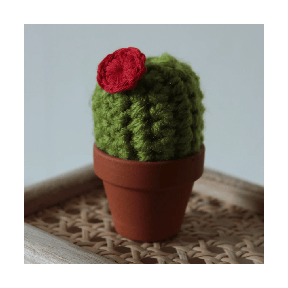 
                  
                    Set of 3 Boxed Crocheted Cacti
                  
                