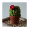 Set of 3 Boxed Crocheted Cacti