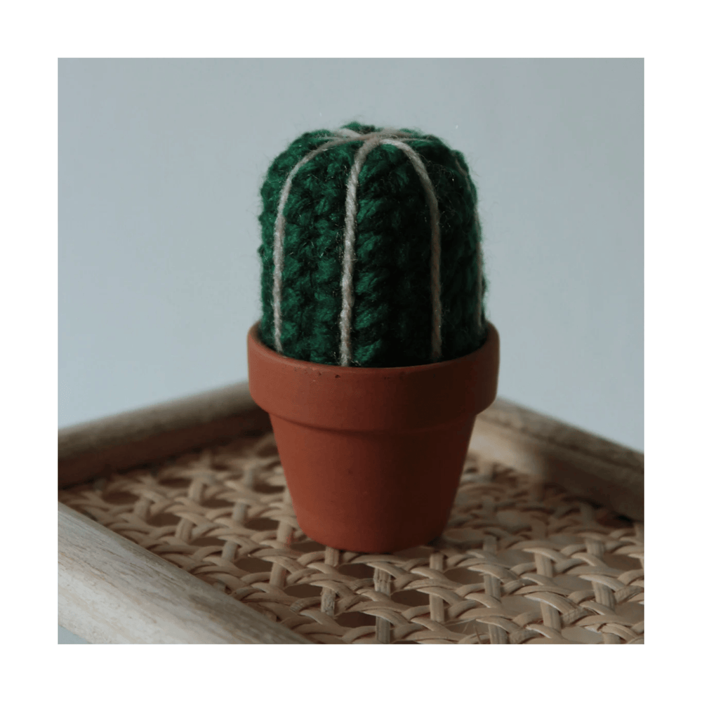 
                  
                    Set of 3 Boxed Crocheted Cacti
                  
                