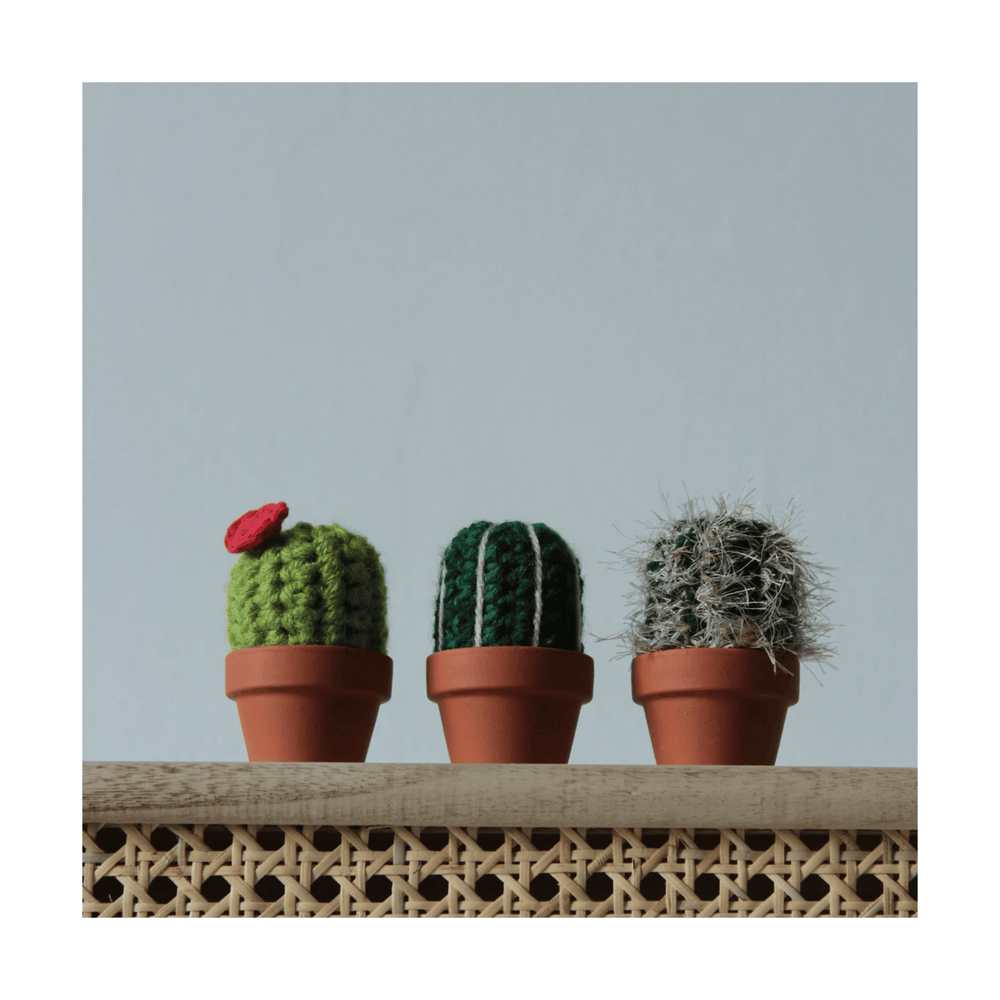 
                  
                    Set of 3 Boxed Crocheted Cacti
                  
                