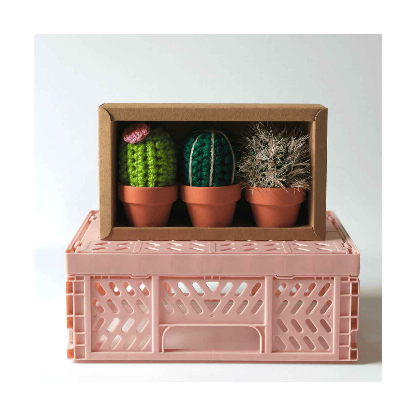 Set of 3 Boxed Crocheted Cacti