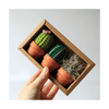 Set of 3 Boxed Crocheted Cacti