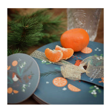  Festive Robin Table Mat Set