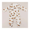 Dexter the Fox Babygro