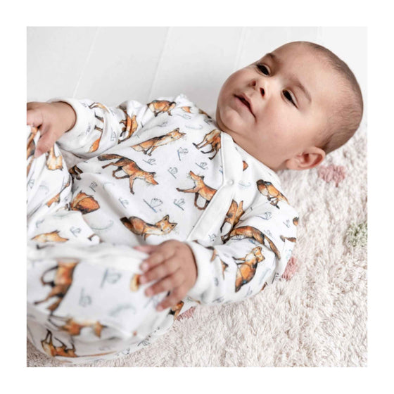 Dexter the Fox Babygro