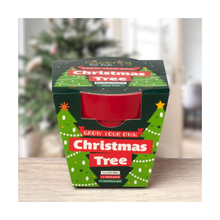  Kid's Christmas Tree Growing Kit