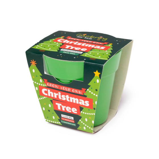 Kid's Christmas Tree Growing Kit