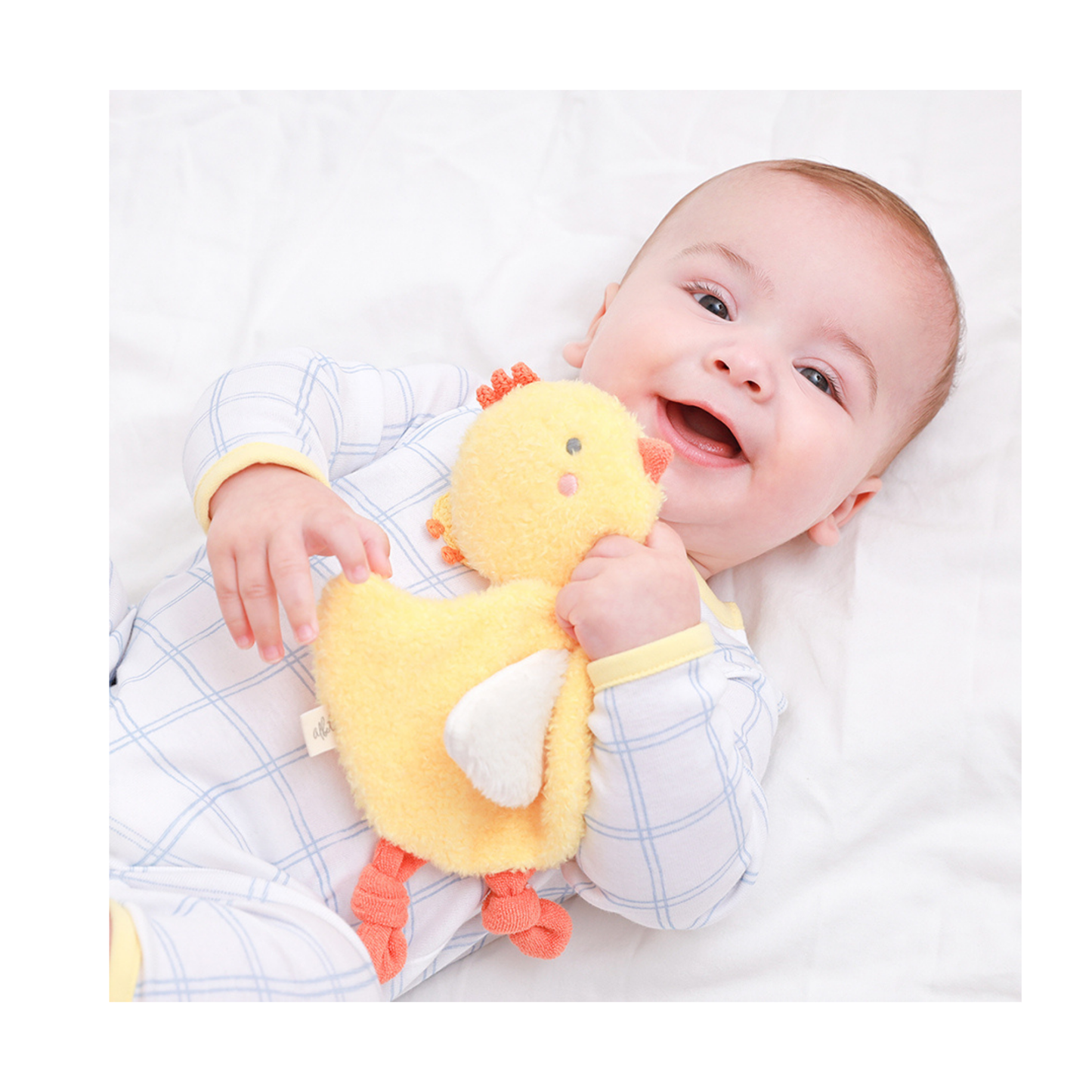 Chick Comforter Toy