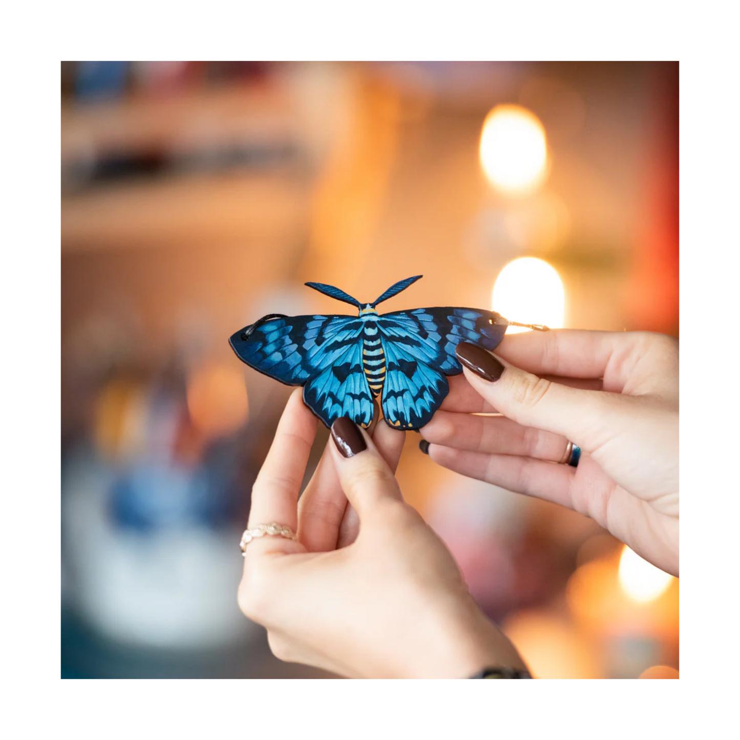 Blue Moth Decoration