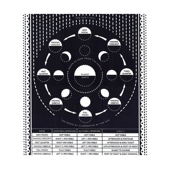 Moon Screen Print