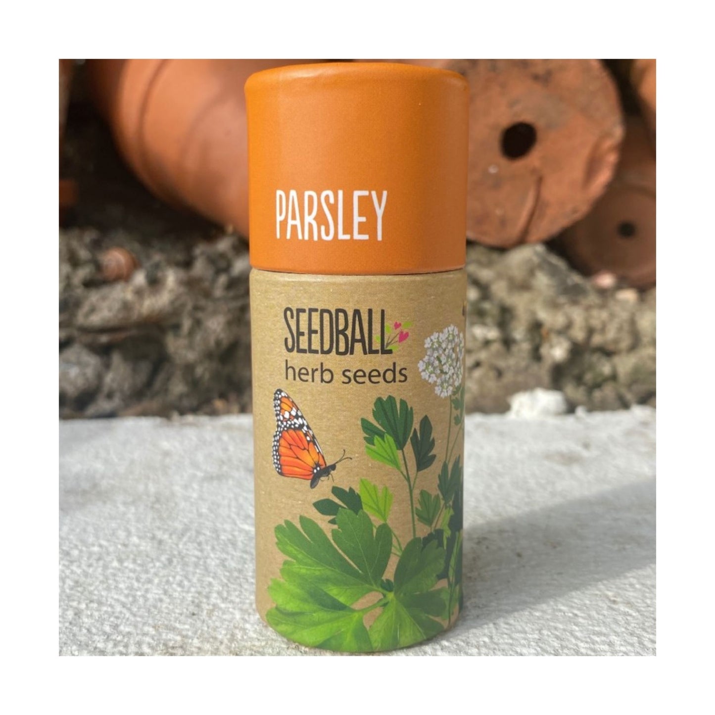 Parsley Seedball Tube