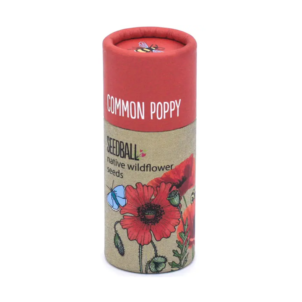 Wildflower Seedball Tube - Poppy