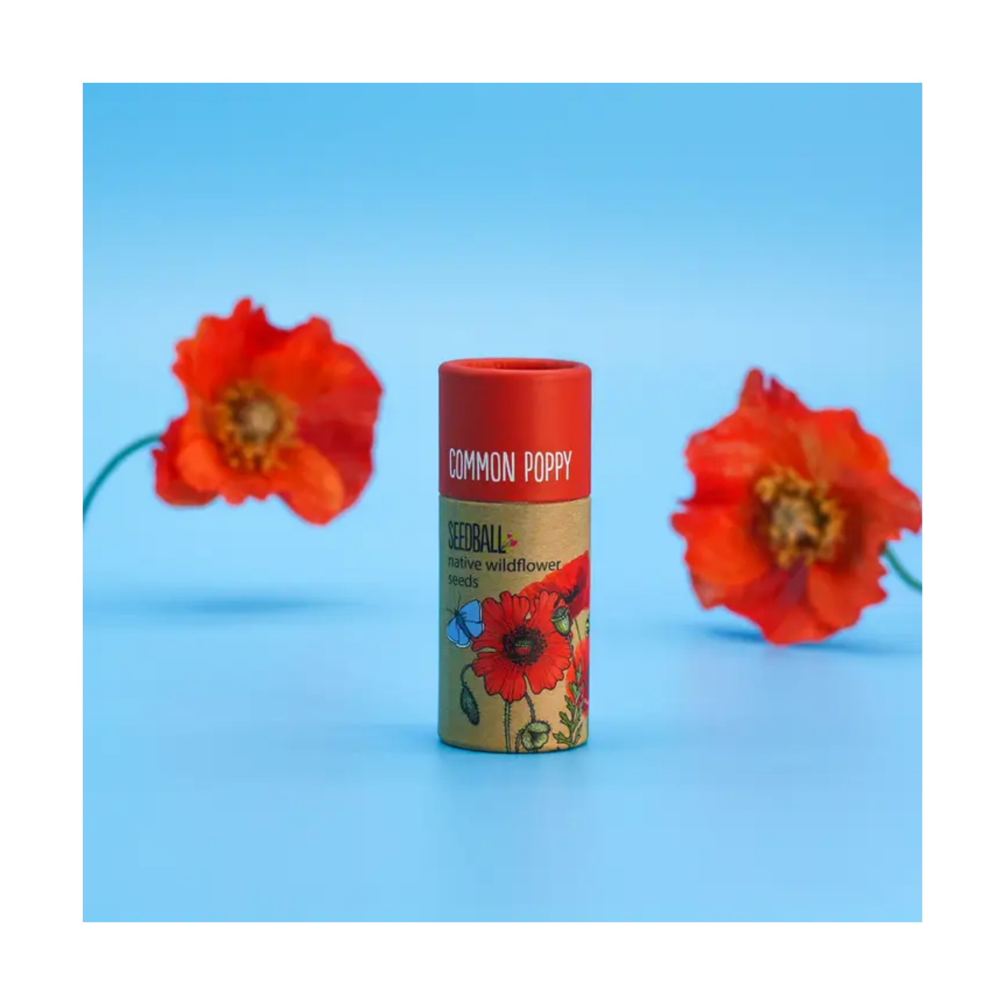 Wildflower Seedball Tube - Poppy