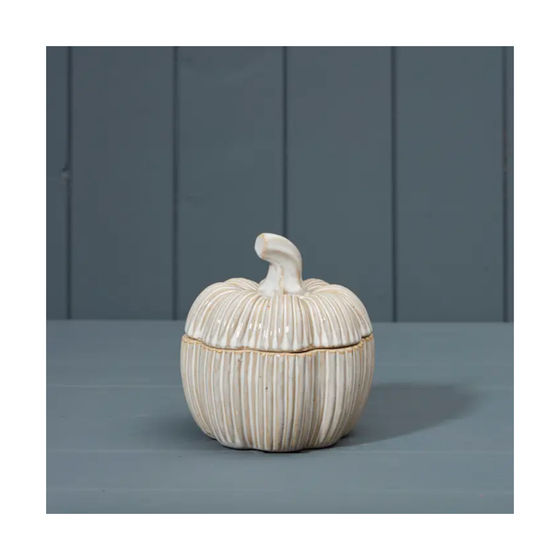 Ceramic Pumpkin Pot