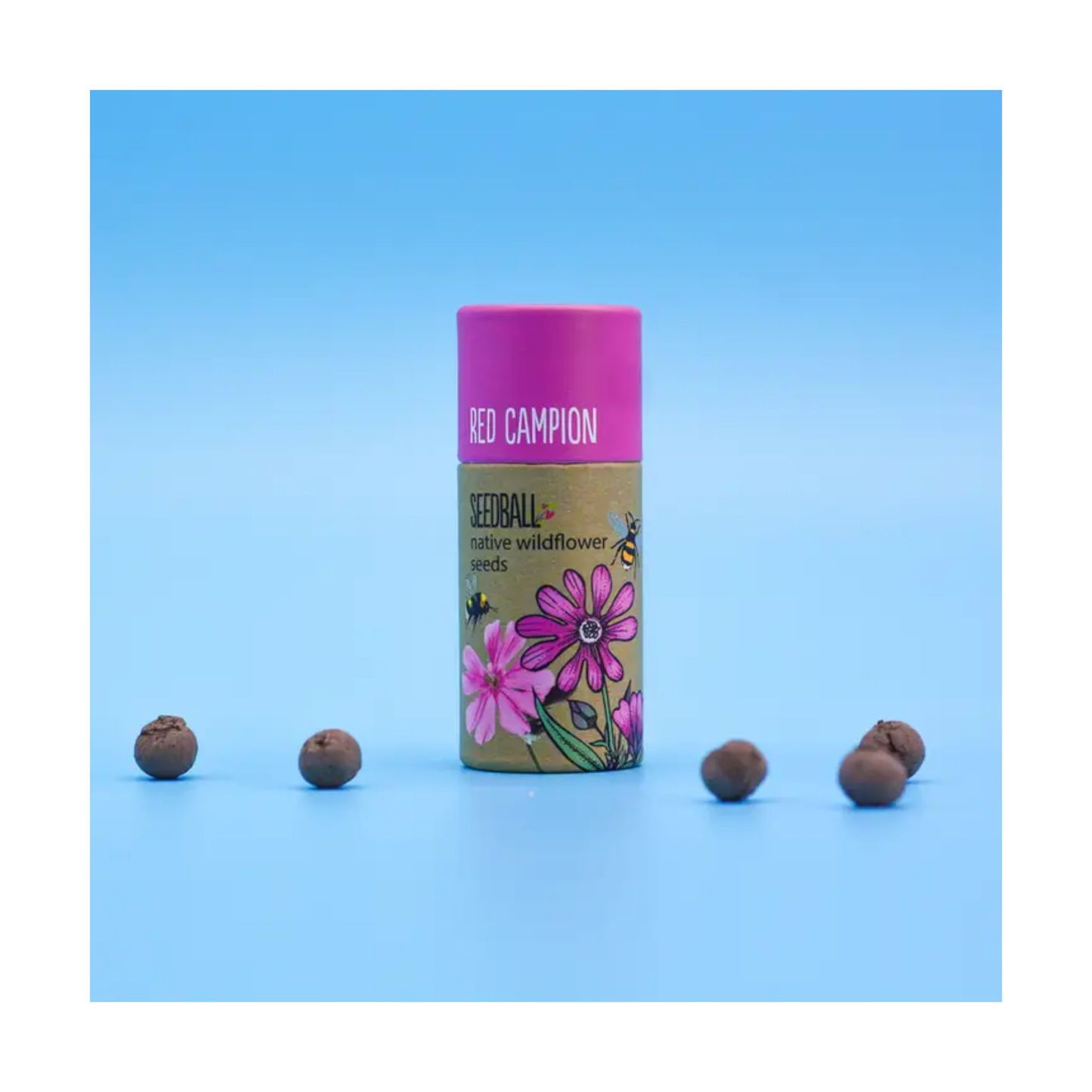 Wildflower Seedball Tube - Red Campion