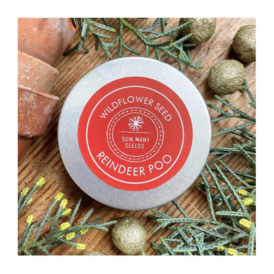 Festive Wildflower Seed Ball Tins