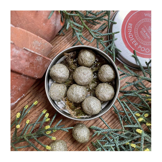 Festive Wildflower Seed Ball Tins