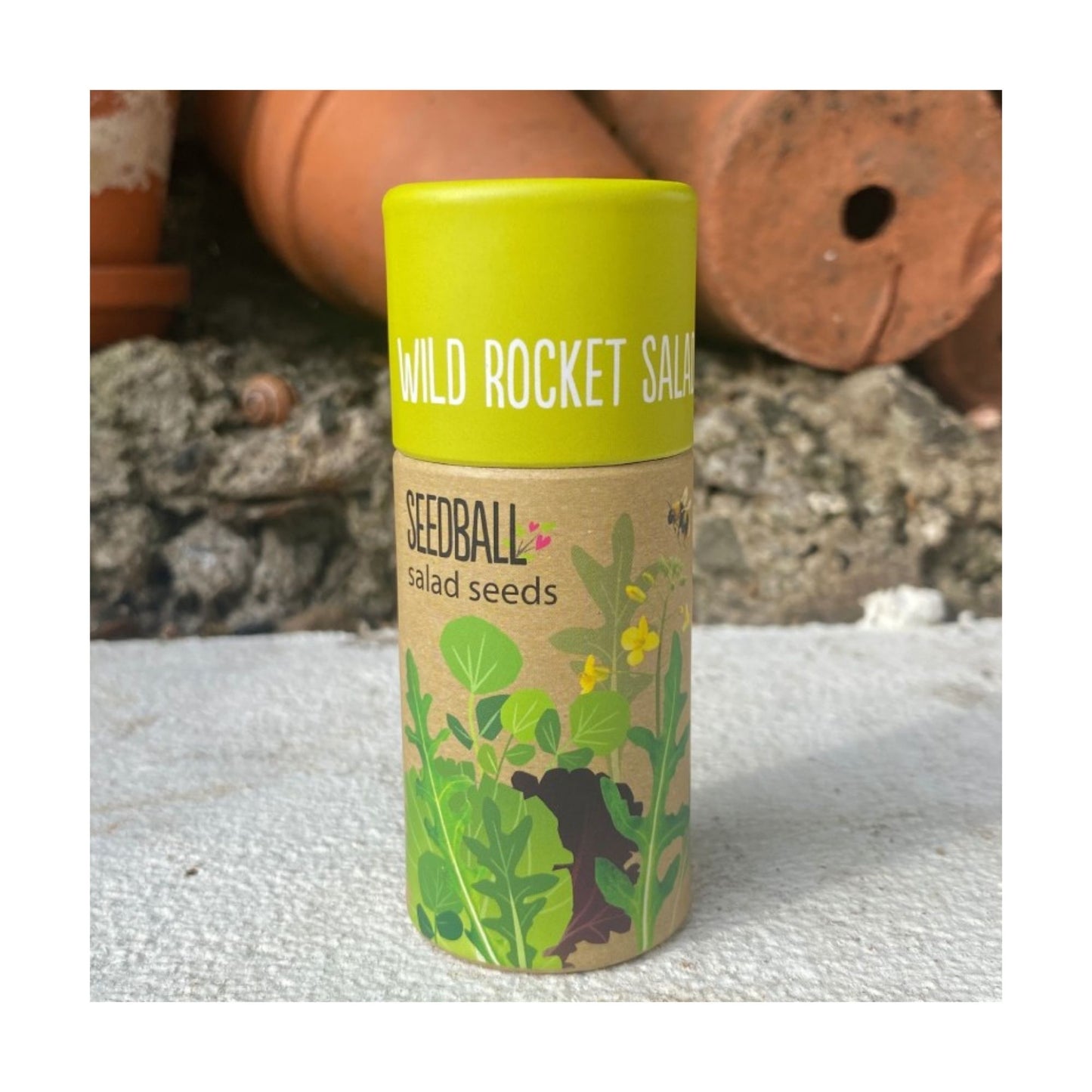 Wild Rocket Salad Seedball Tube