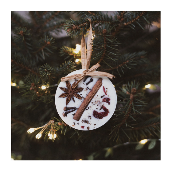 Cranberry Orange and Cinnamon Circle Scented Tree Decoration