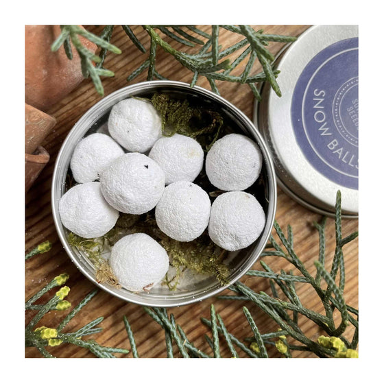 Festive Wildflower Seed Ball Tins