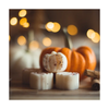 Sweater Weather Pumpkin Patch Soy Wax Melts Fall