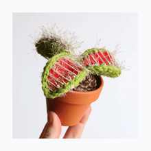  Crocheted Venus Flytrap