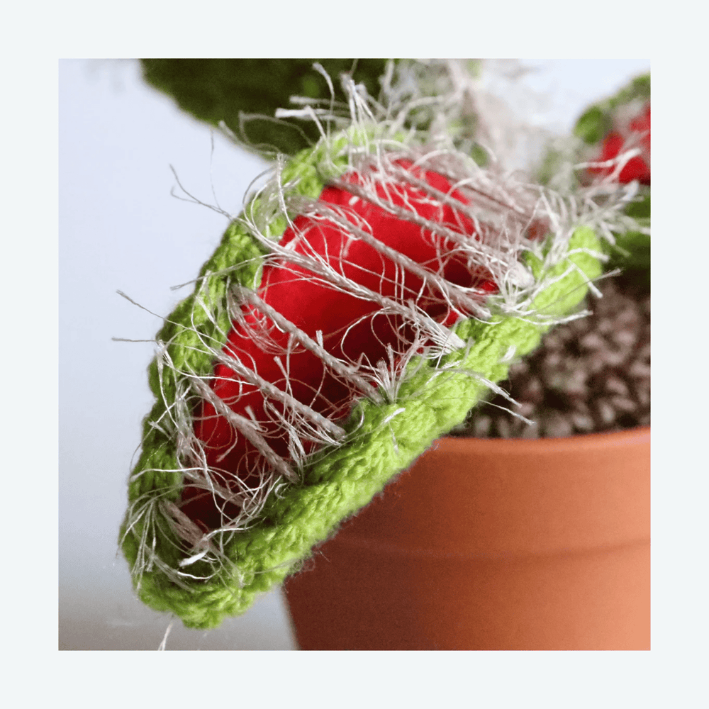 
                  
                    Crocheted Venus Flytrap
                  
                