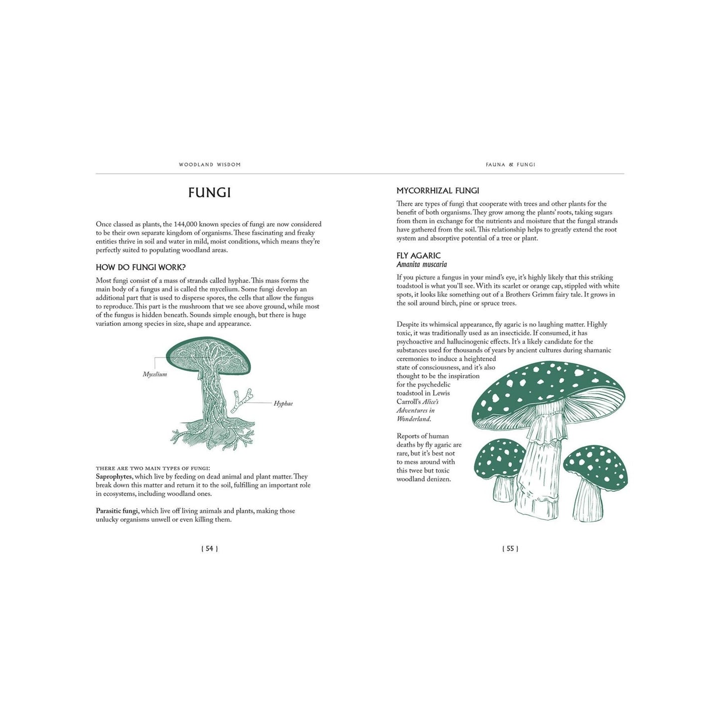 Woodland Wisdom (Facts, Fiction, Folklore)