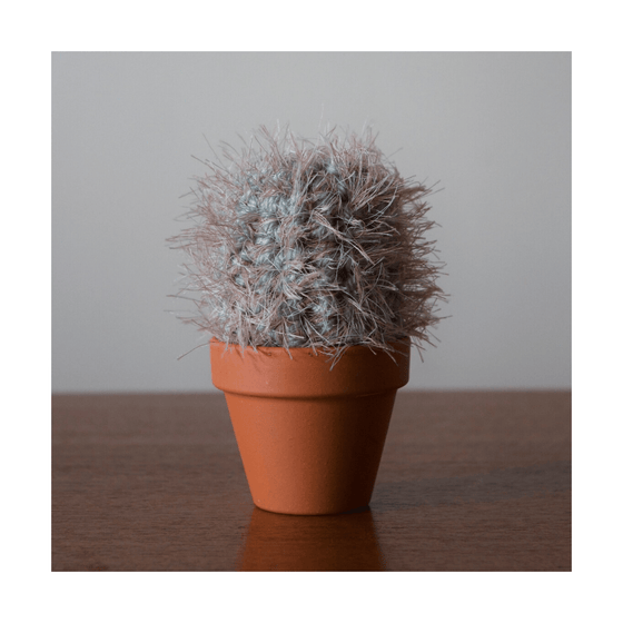 Wee Fluffy Cactus