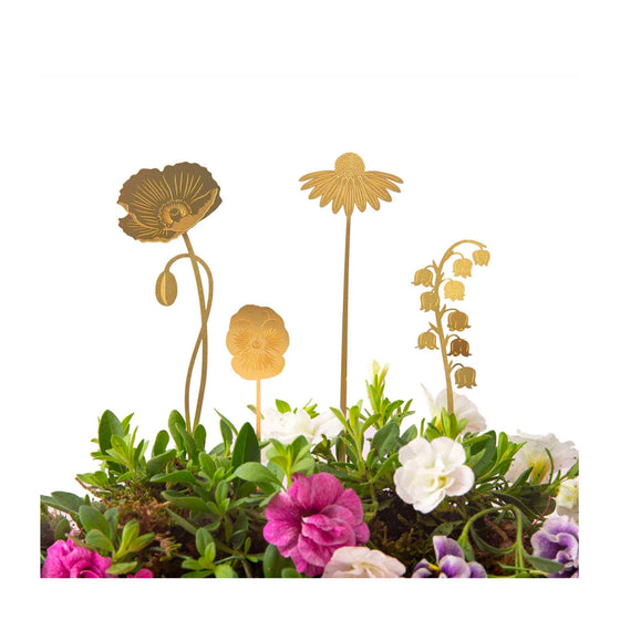 Garden Brass Blooms