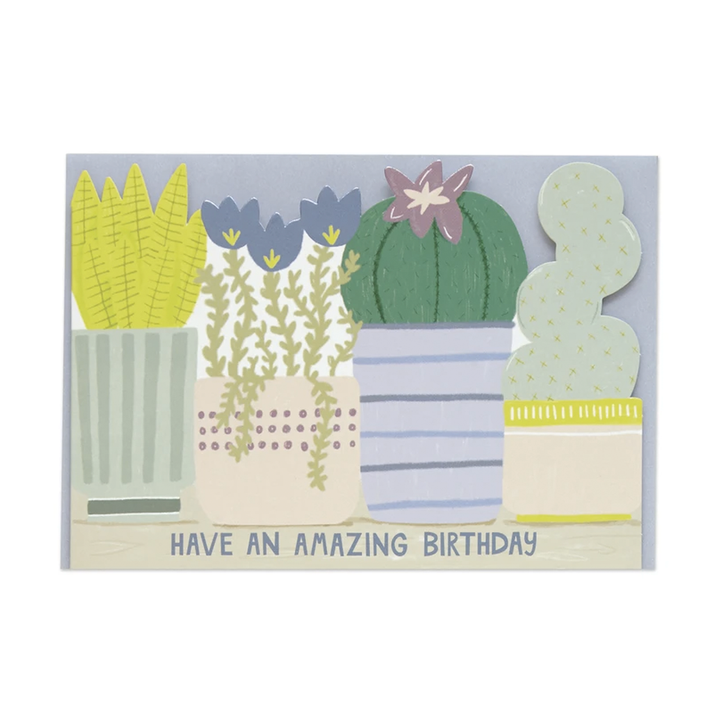 Have an Amazing Birthday Card