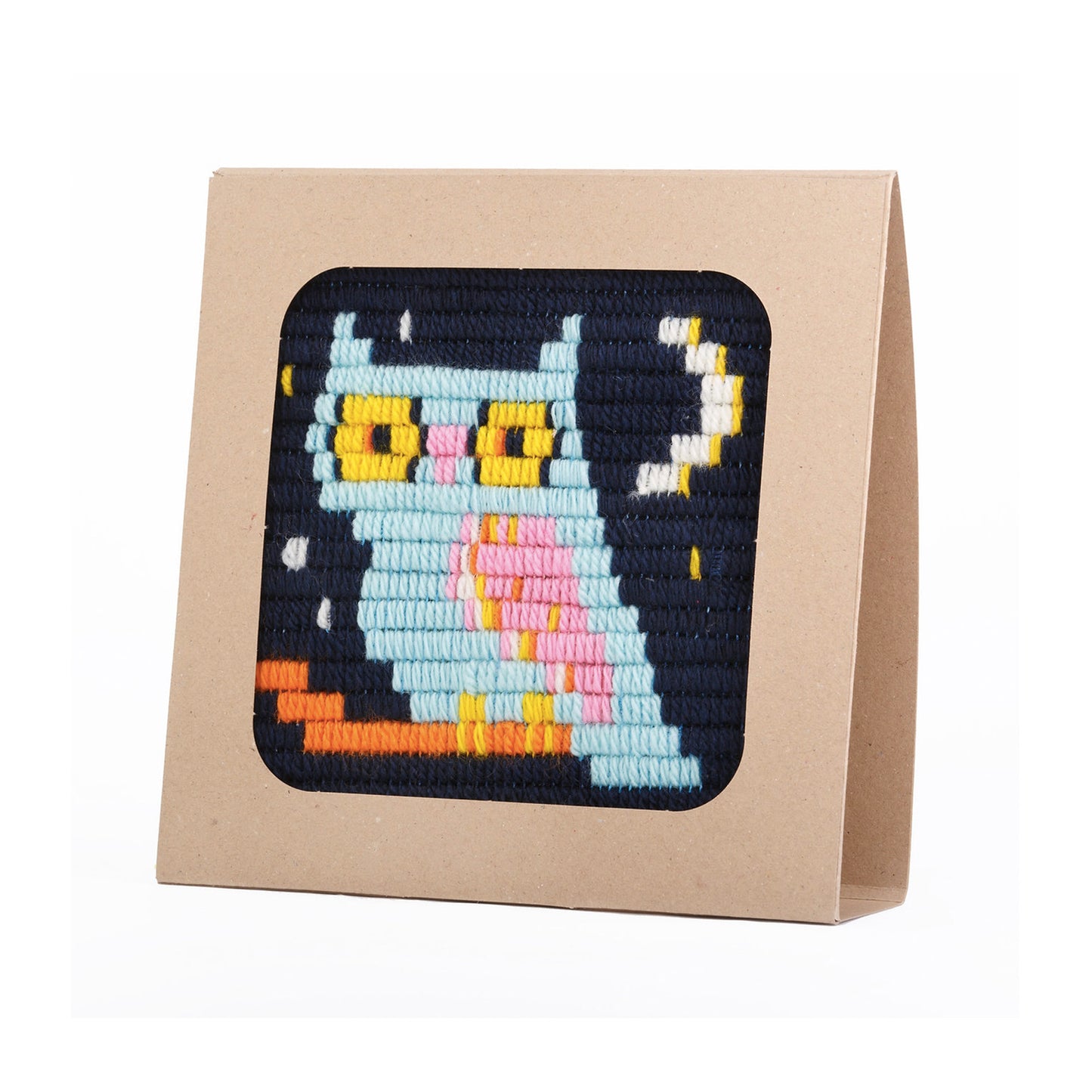 Needlepoint Kit - Night Owl